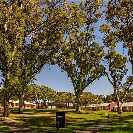 Serafino Mclaren Vale Eksteriør billede