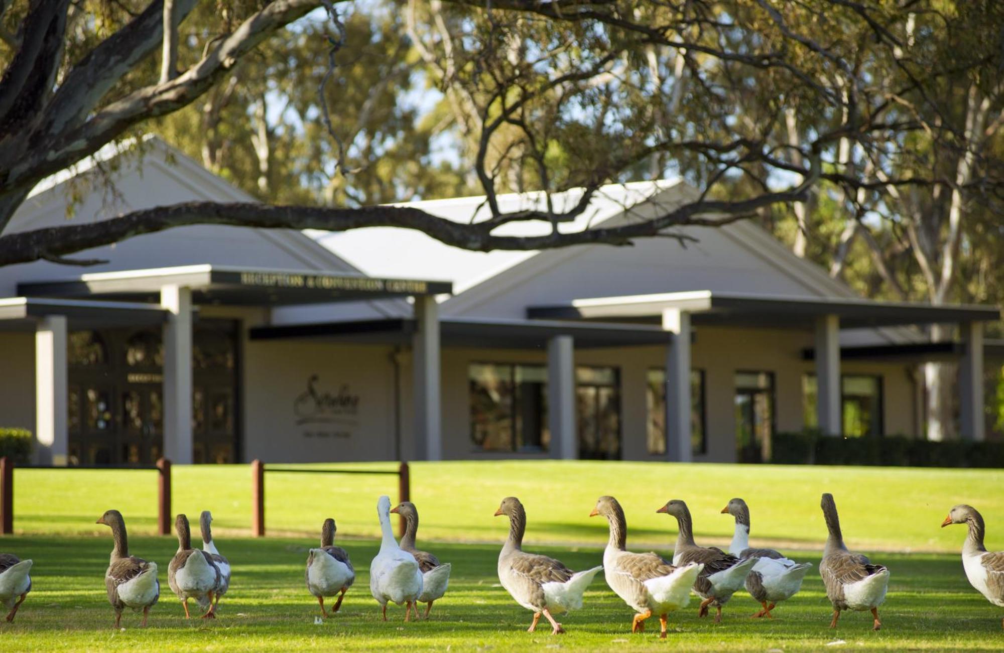 Serafino Mclaren Vale Eksteriør billede